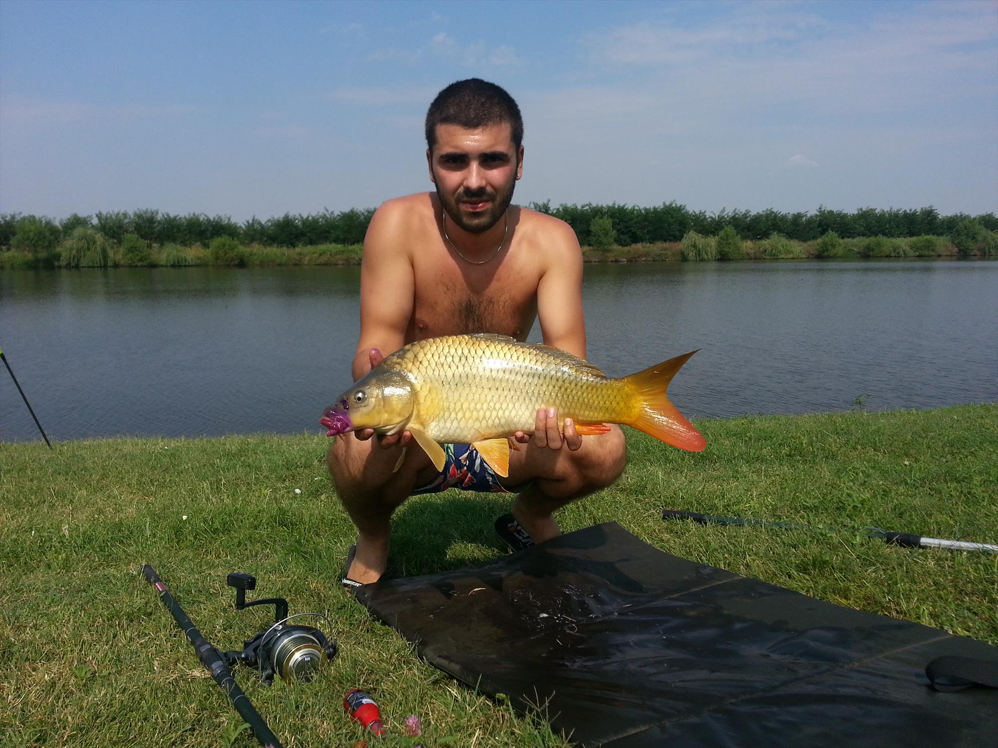 fish - 20131007152155.jpg